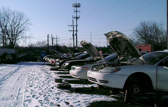 Our lot in the snow